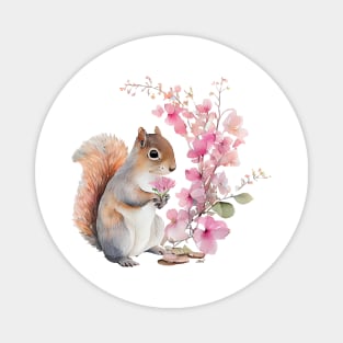 Squirrel Magnet